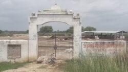 महेश खेड़ा स्थित गौशाला
